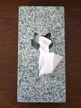 neco102706.jpg