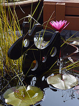 fairy111102.jpg