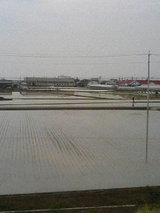 84805eb4.JPG