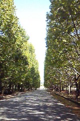 200910211319000