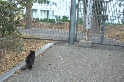 おまち2