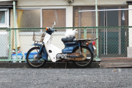 ここにも