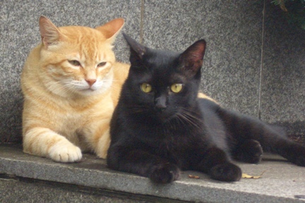 minkuro4
