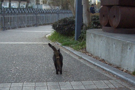 おまち1