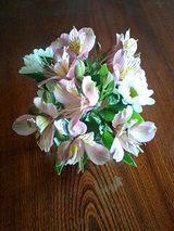 622258b7.jpg