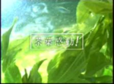 茶葉
