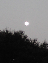 15ed25f4.jpg