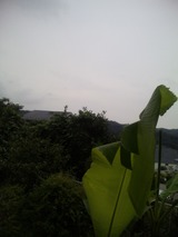 52a09ebd.jpg