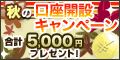 �ޥ͡��ѡ��ȥʡ���FX ���³��ߥץ쥼��ȥ����ڡ���
