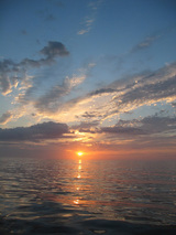 ���νС�
