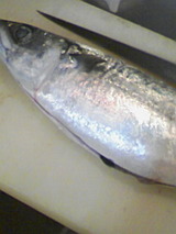 90d267df.jpg