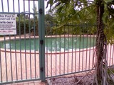 51416473.jpg