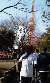 c874ce47.JPG