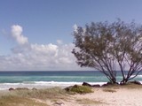 c9028094.jpg
