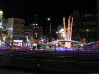 8941aa2d.JPG