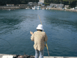 佐賀