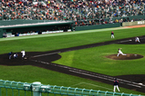 WBC