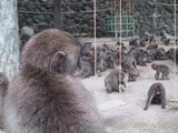 久留米 ジュエリー