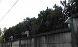 4bd98c79.jpg