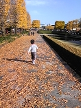 dcbf2778.jpg