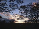 夕暮れ