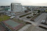 ���夫�鸫�������
