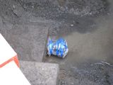 泥吐きの根っこ