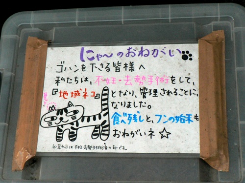 にゃ〜