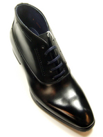 ZAMPIERE-9016-bl-01