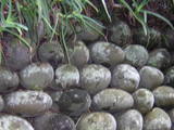 f6142473.JPG