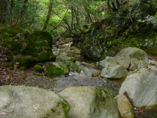 渓流2
