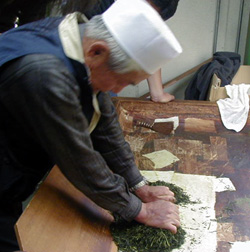 手もみ茶