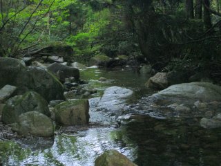 渓流1