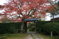 一休寺