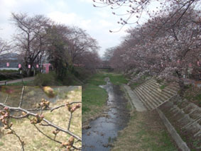 井出327