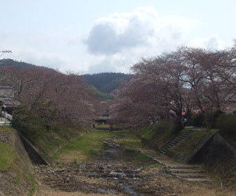 井出329