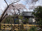 地蔵A