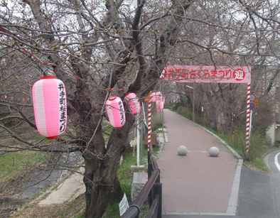 井出桜323C