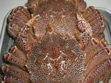 0c3269b3.JPG