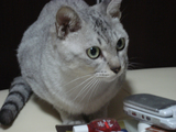 2cbb0302.jpg
