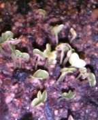 6c6e993d.jpg