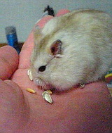 9df016f4.jpg