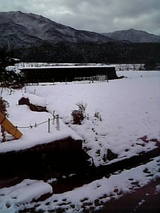 ba88f748.jpg