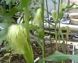 d841c271.jpg