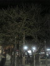 f3240055.jpg