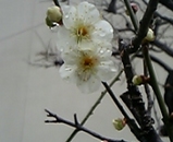 fb822a11.jpg