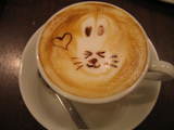 caffe