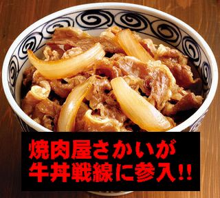 焼肉屋さかいの牛丼