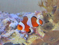 �j�����N