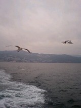 0ca74673.jpg